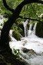 gal/cro 08/_thb_small-IMG_5627.JPG